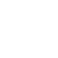 bases_datos