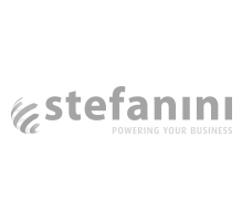 stefanini